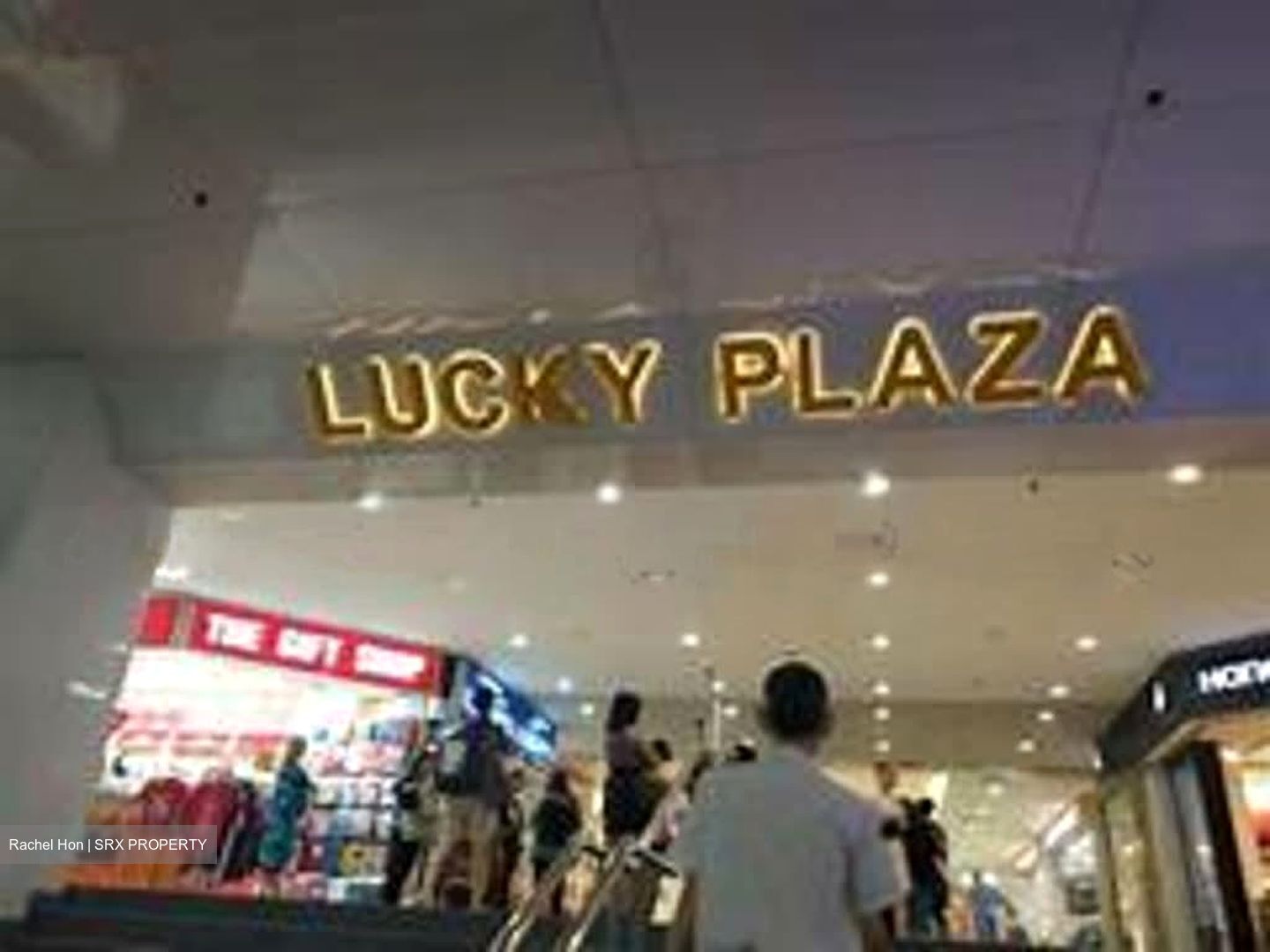 Lucky Plaza (D9), Shop House #534051081